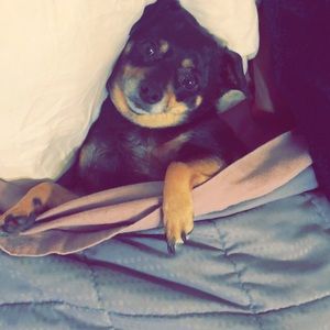 Meet your Posher, Tamara